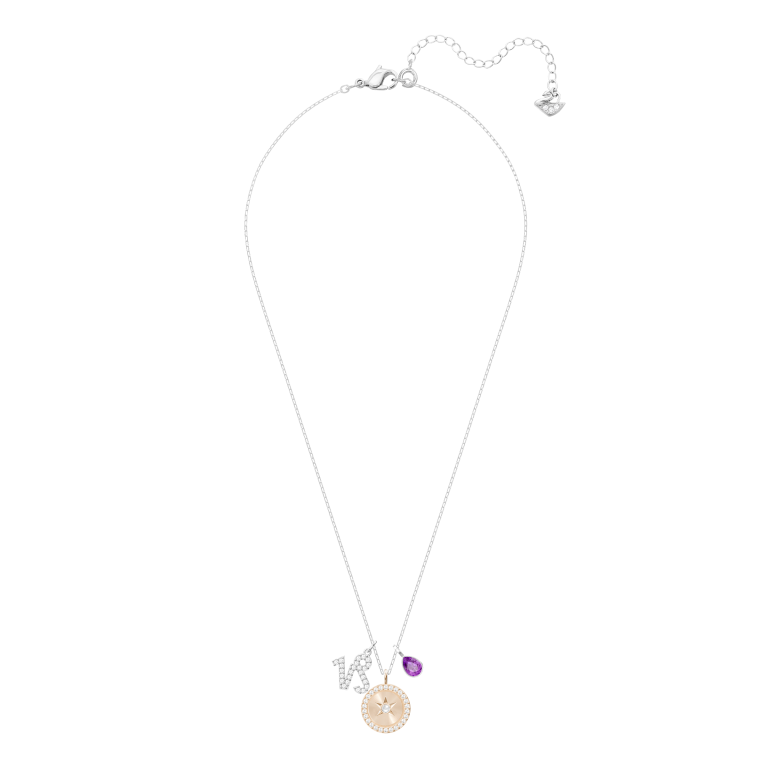 Wisiorek SWAROVSKI Zodiac Koziorożec, pełny widok łańcuszka i zapięcia